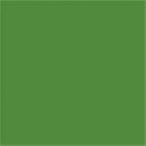 EFFECT Farbpaste Laubgrün ähnlich RAL 6002 100 g